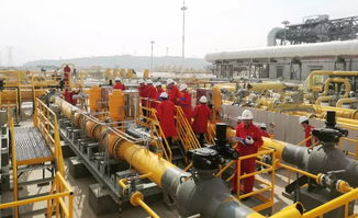 這家閥門公司兩套調(diào)壓裝置關(guān)鍵閥門成功通過中油管道公司現(xiàn)場工業(yè)性試驗(yàn)驗(yàn)收