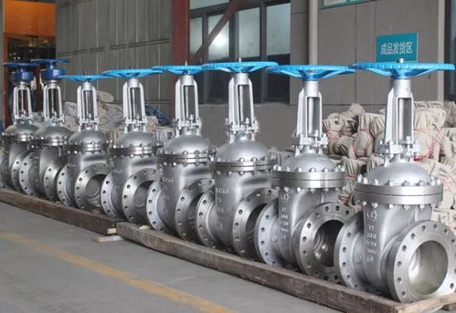 良工閥門集團 高端不銹鋼閥門系列產品的卓越制造商